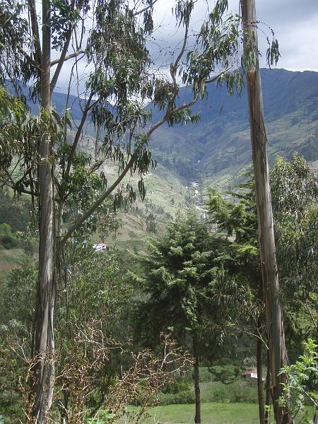 Illampu Trek (2).JPG